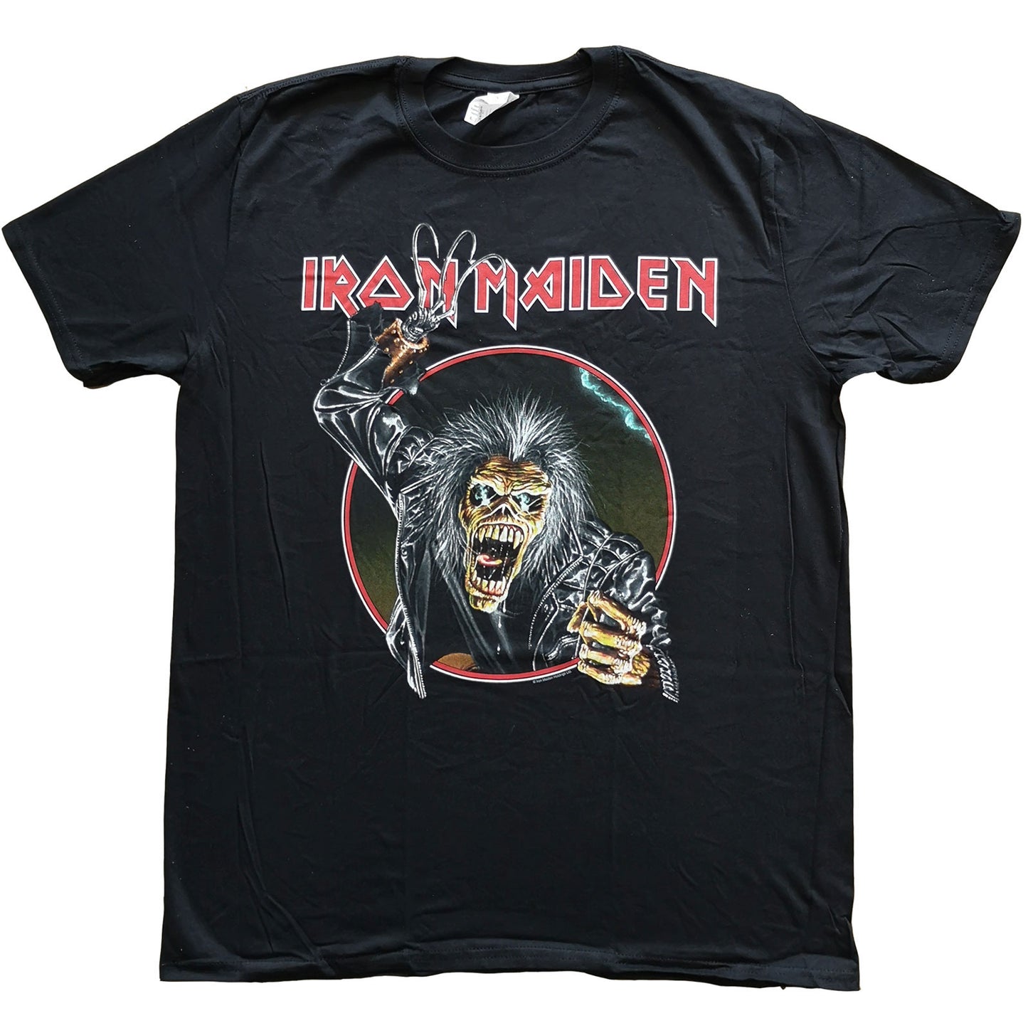 Iron Maiden Unisex T-Shirt: Eddie Hook