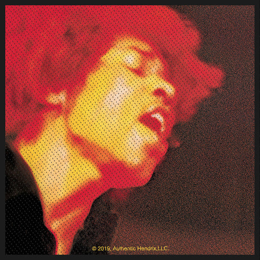 Jimi Hendrix Standard Patch: Electric Ladyland (Loose)