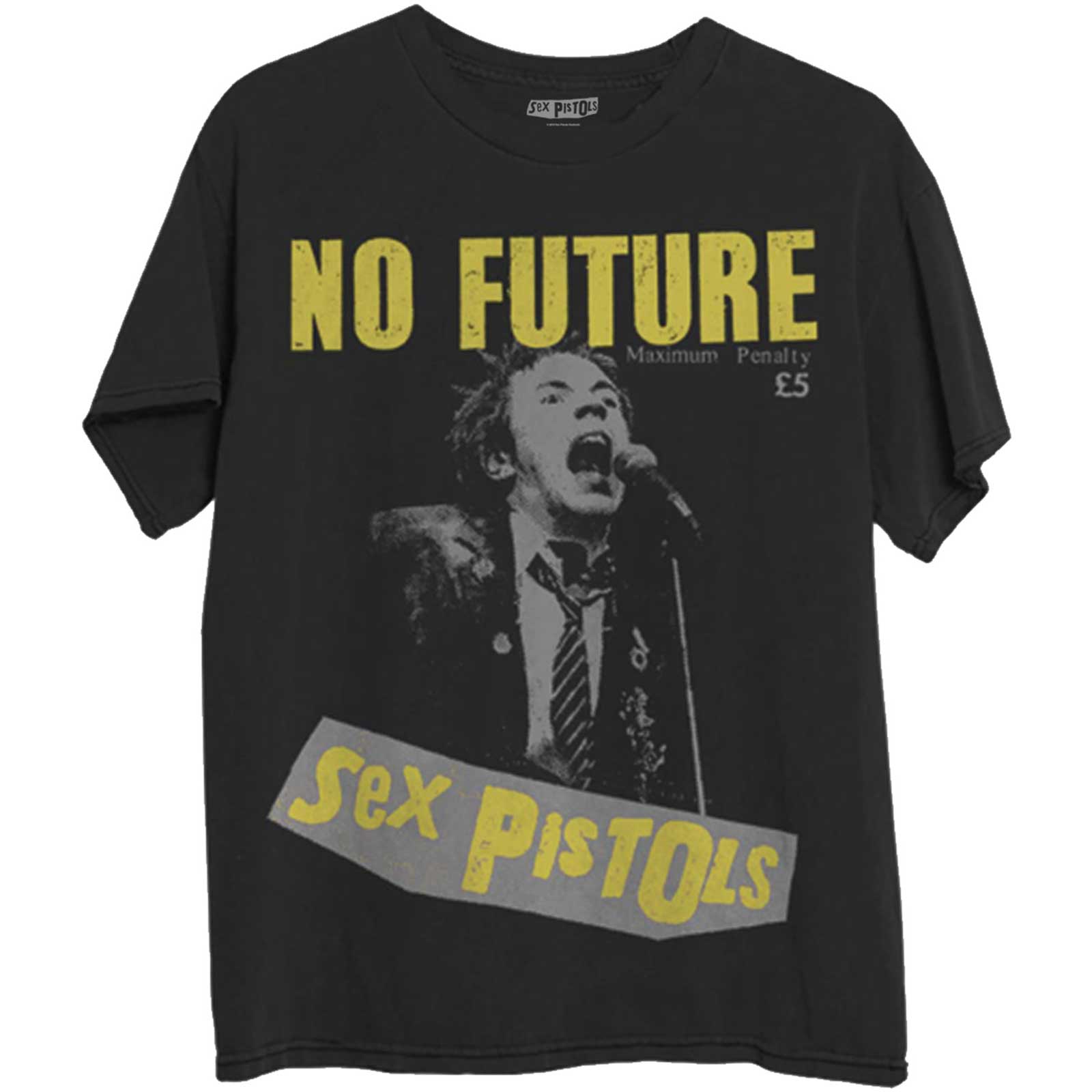 The Sex Pistols Unisex T-Shirt: No Future